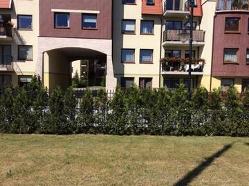 Фото номера Апартаменты с 1 спальней Апартаменты Apartament Bukowy г. Вейхерово 18