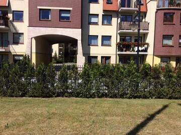Фото номера Апартаменты с 1 спальней Апартаменты Apartament Bukowy г. Вейхерово 33